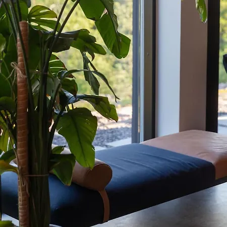 North - Kukkula Vasterskog