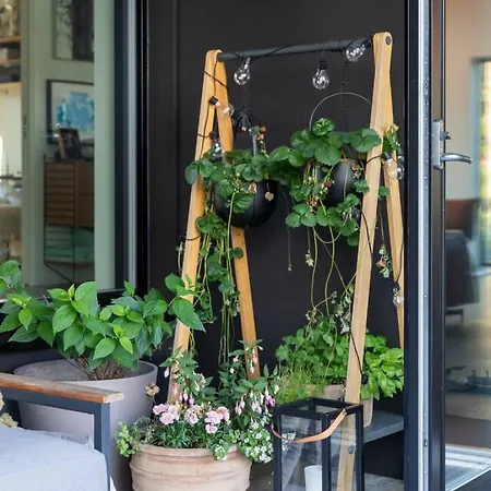 North - Kukkula * Vasterskog