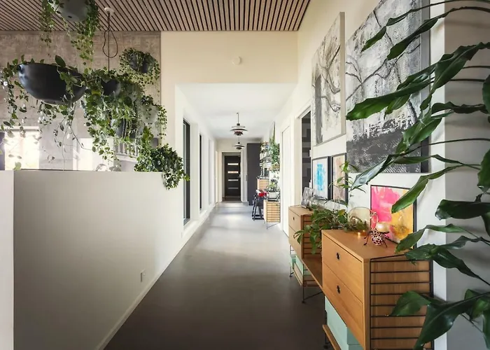 Tatil Evi North - Kukkula